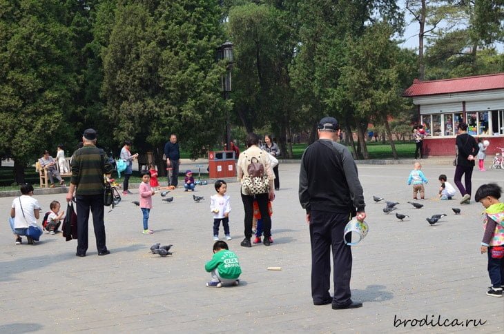 Как любят отдыхать китайцы